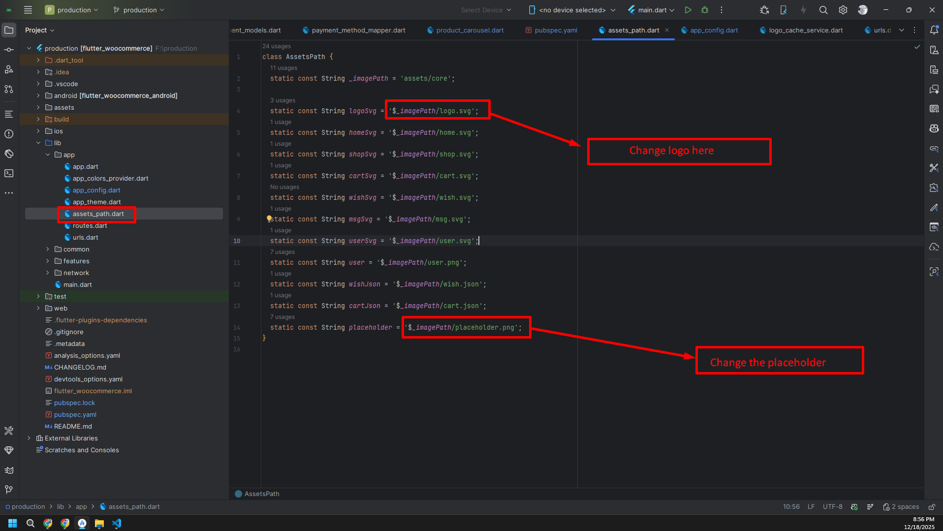 App Logo Customization